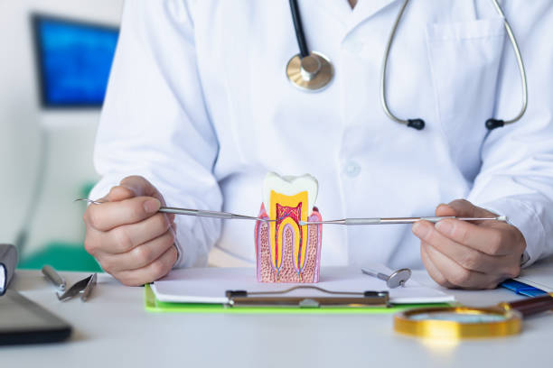 Best Pediatric Emergency Dentist in Inverness, CA